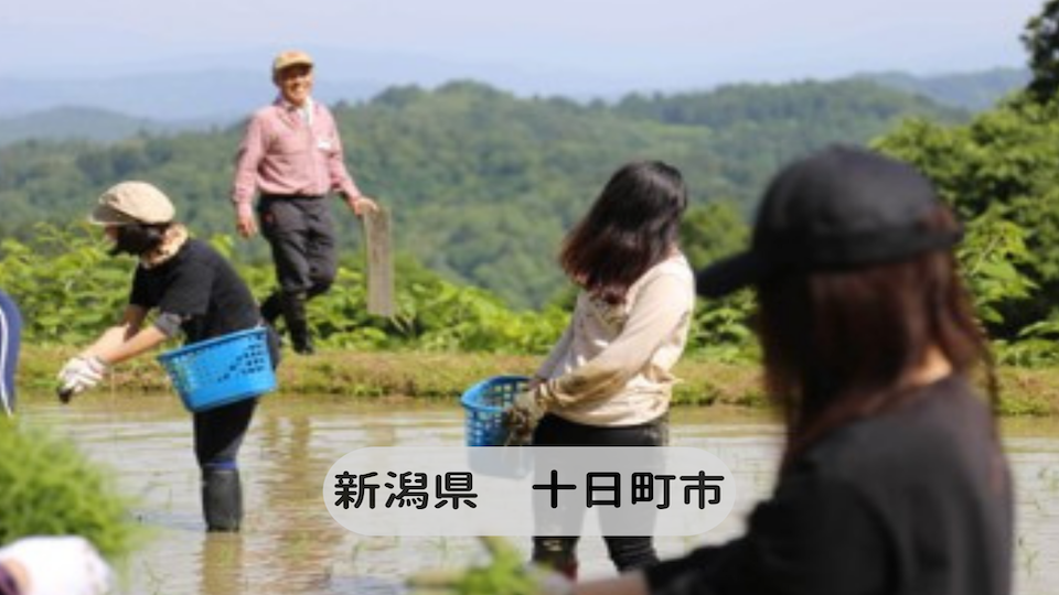 新潟県十日町市
