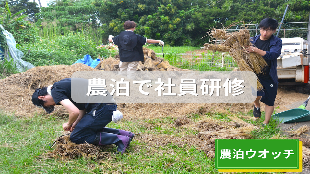 農泊で社員研修