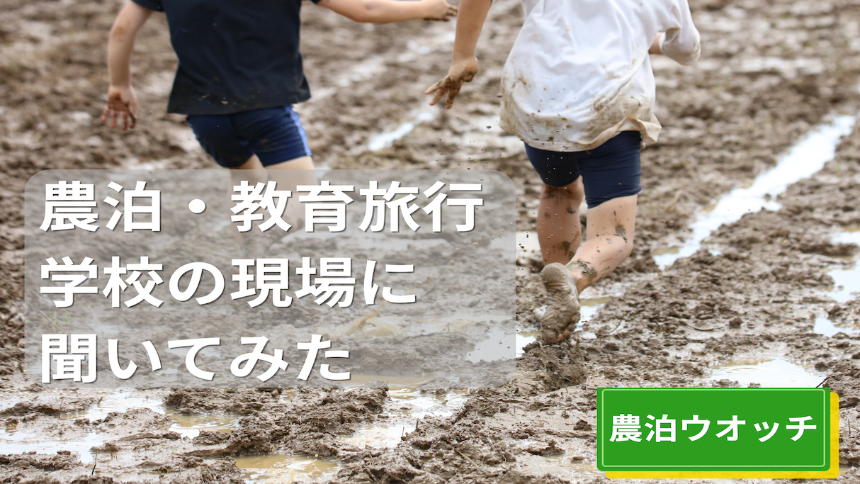 学校の現場に聞いてみた